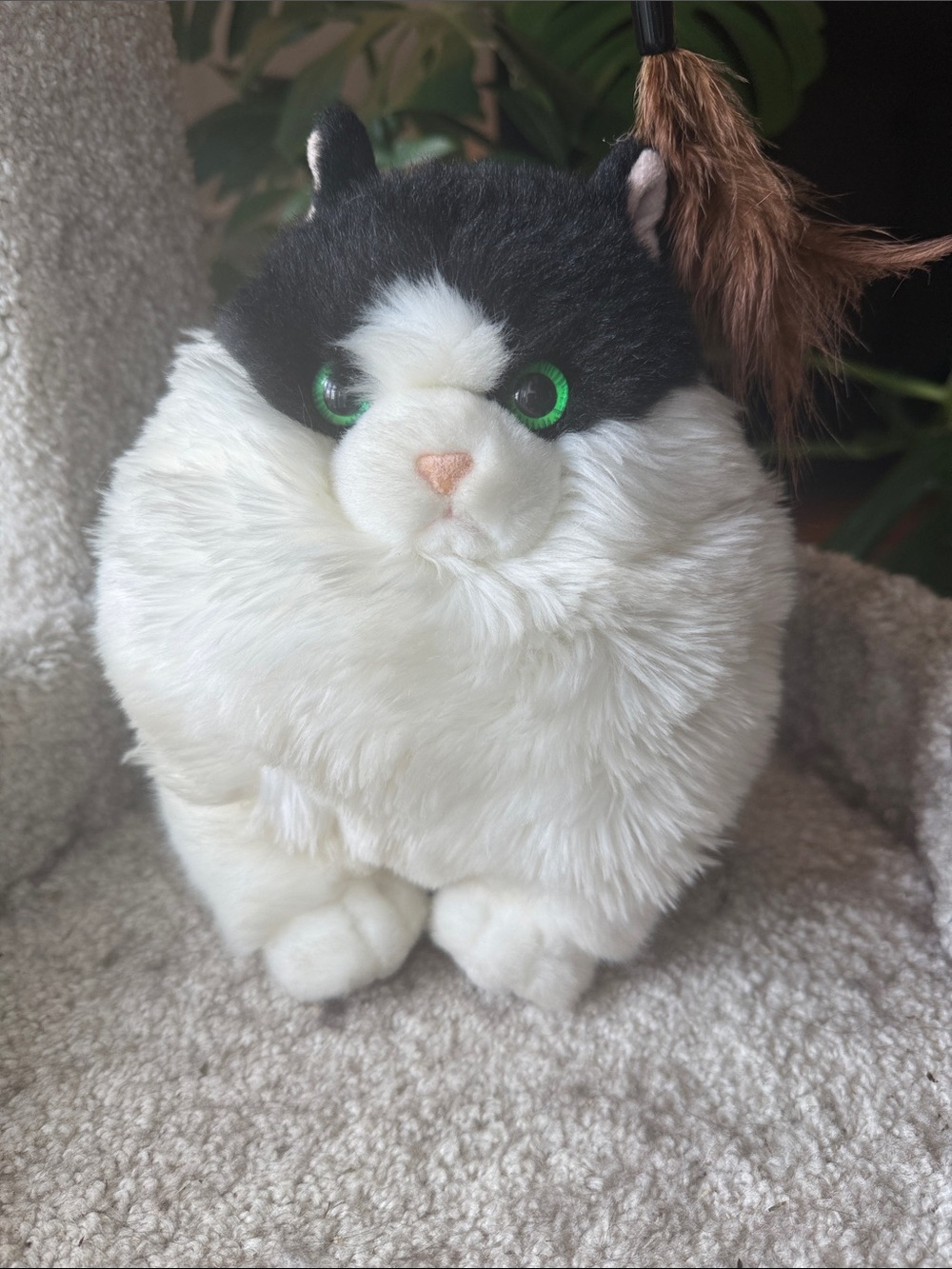 Aurora World Fat Cat 9.5" Muffins Tuxedo Cat Plush Black White Green Eyes 2021